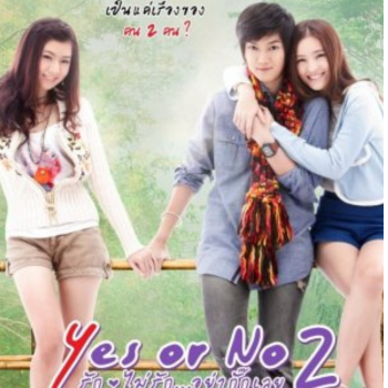 Yes or No2 c